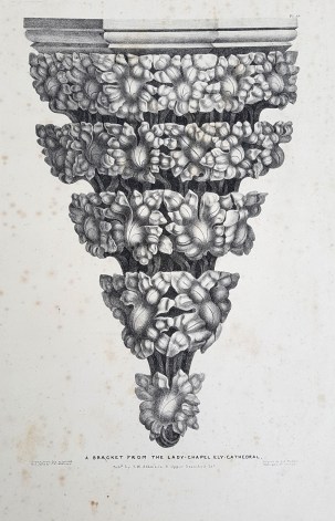 20190525_112442_resized-a